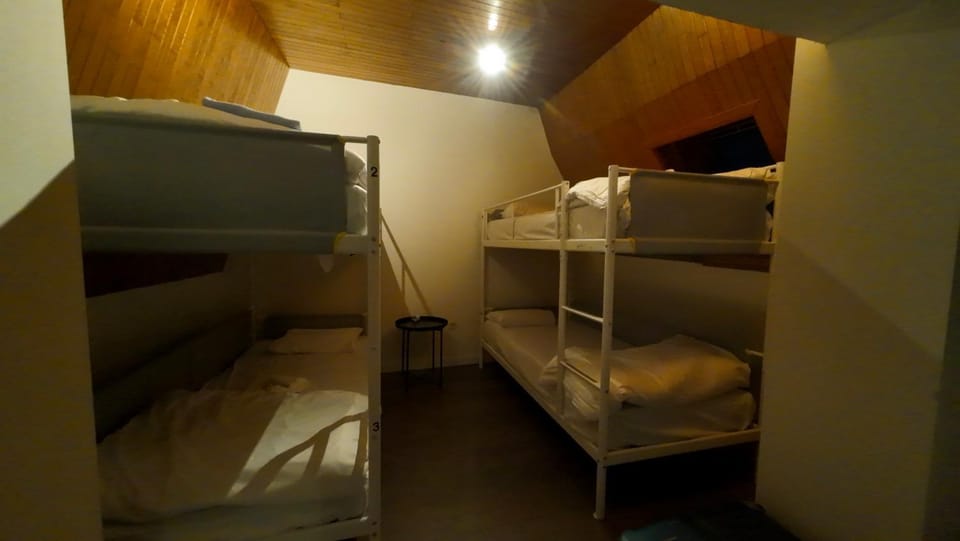 Dolfijn Hostel Hostel in Antwerp