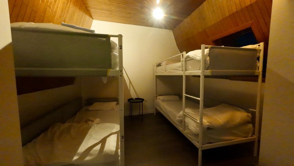 Dolfijn Hostel Hostel in Antwerp