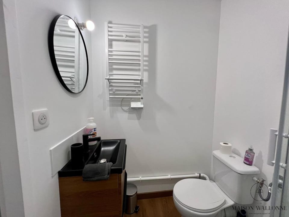 Le nid Rémois -Pied à terre en champagne Apartment in Reims