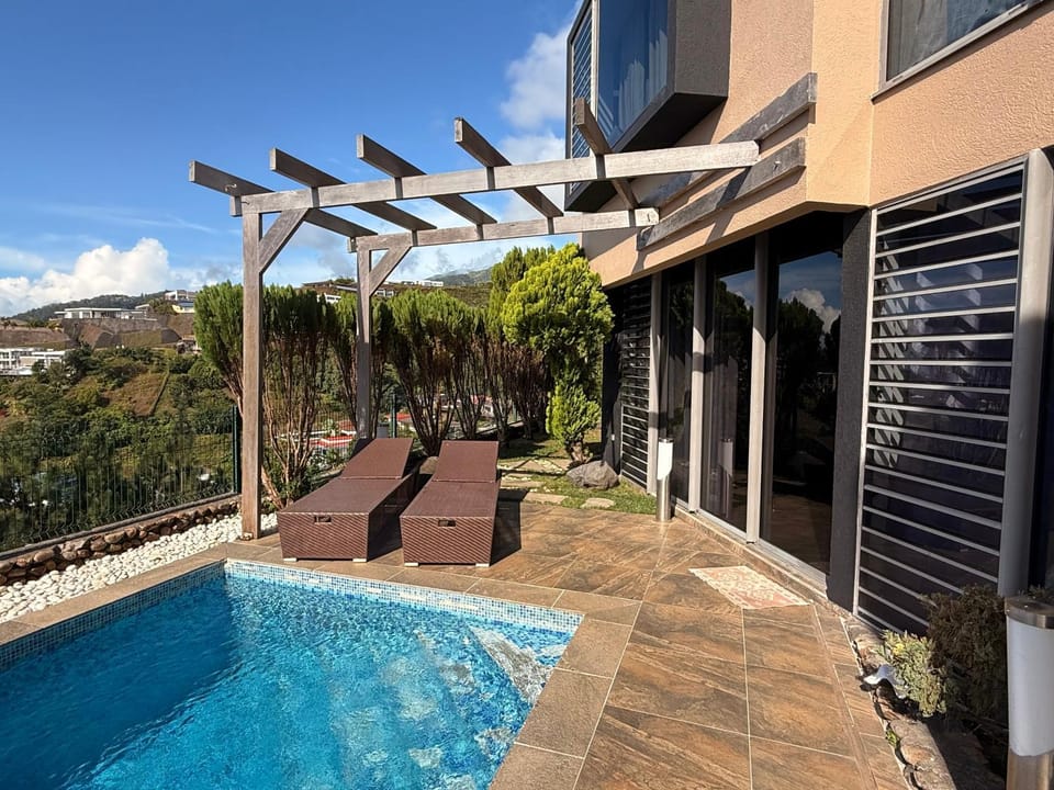 Patio, Pool view, Swimming pool, sunbed