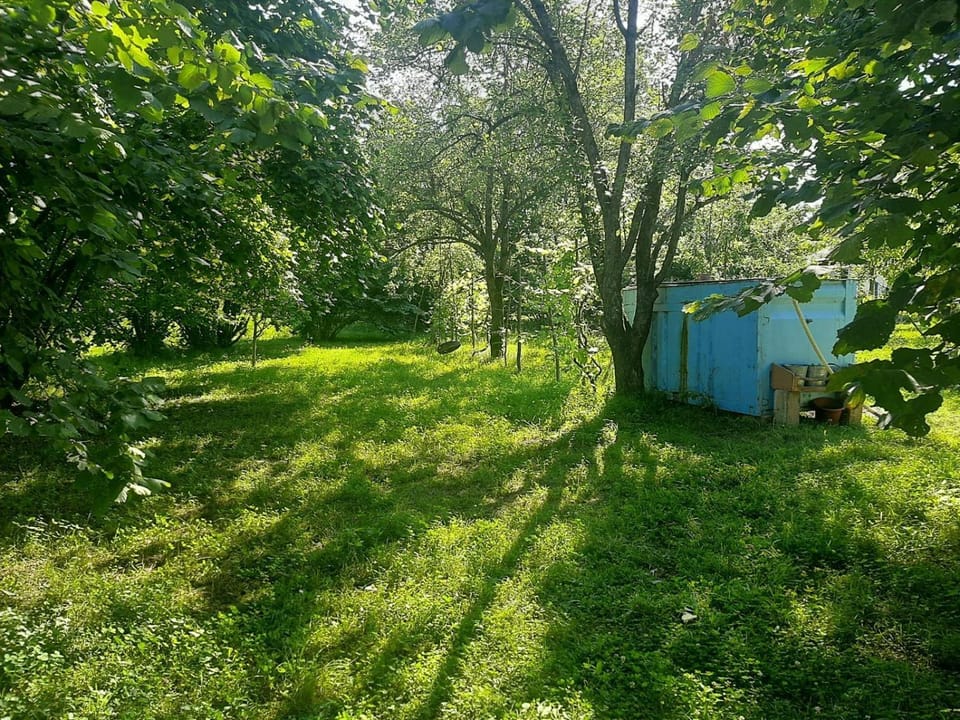 Ibo Rent Apartment in Azerbaijan