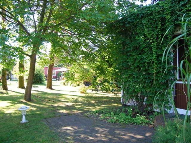 Neighbourhood