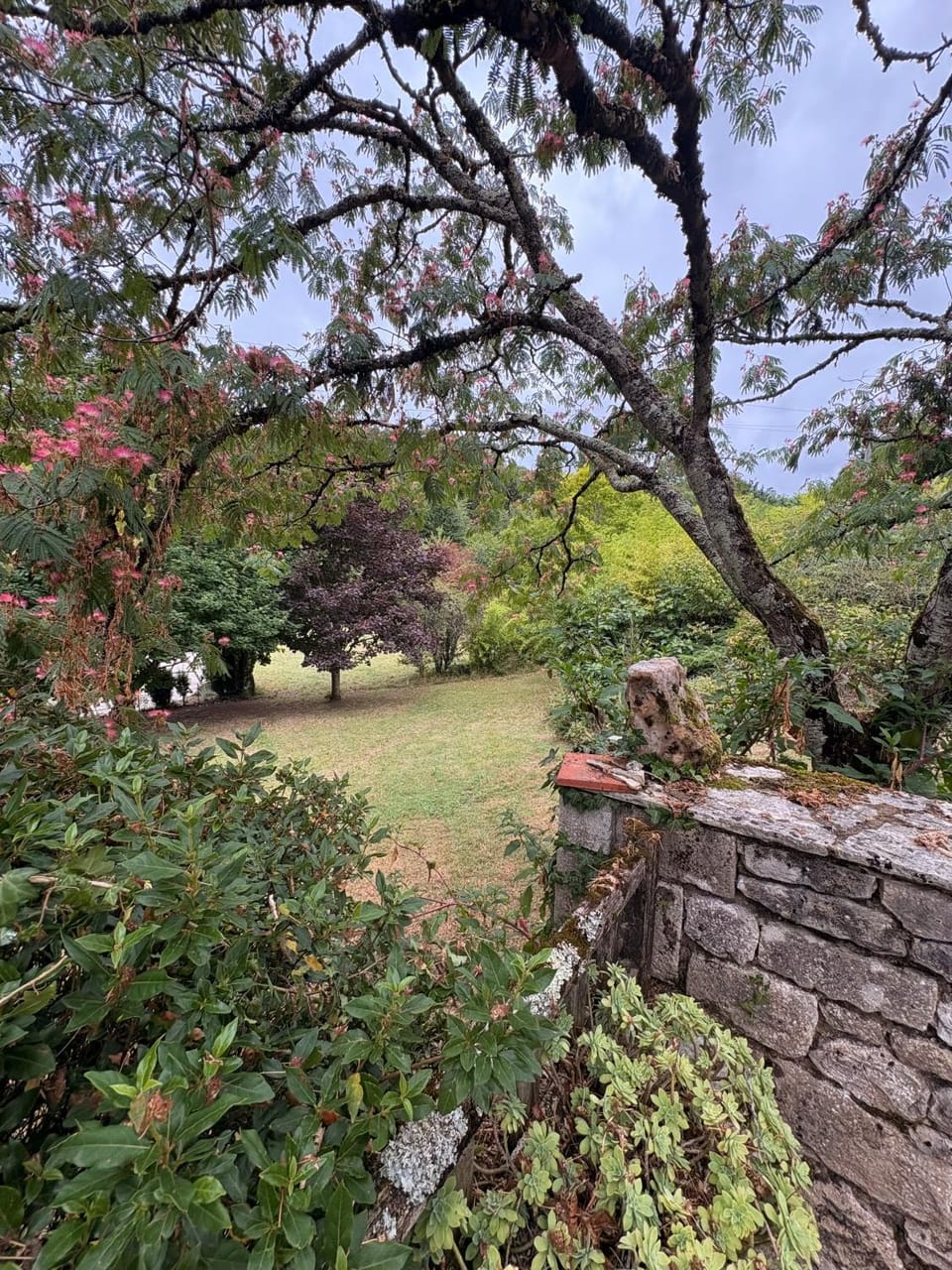 Natural landscape, Garden view