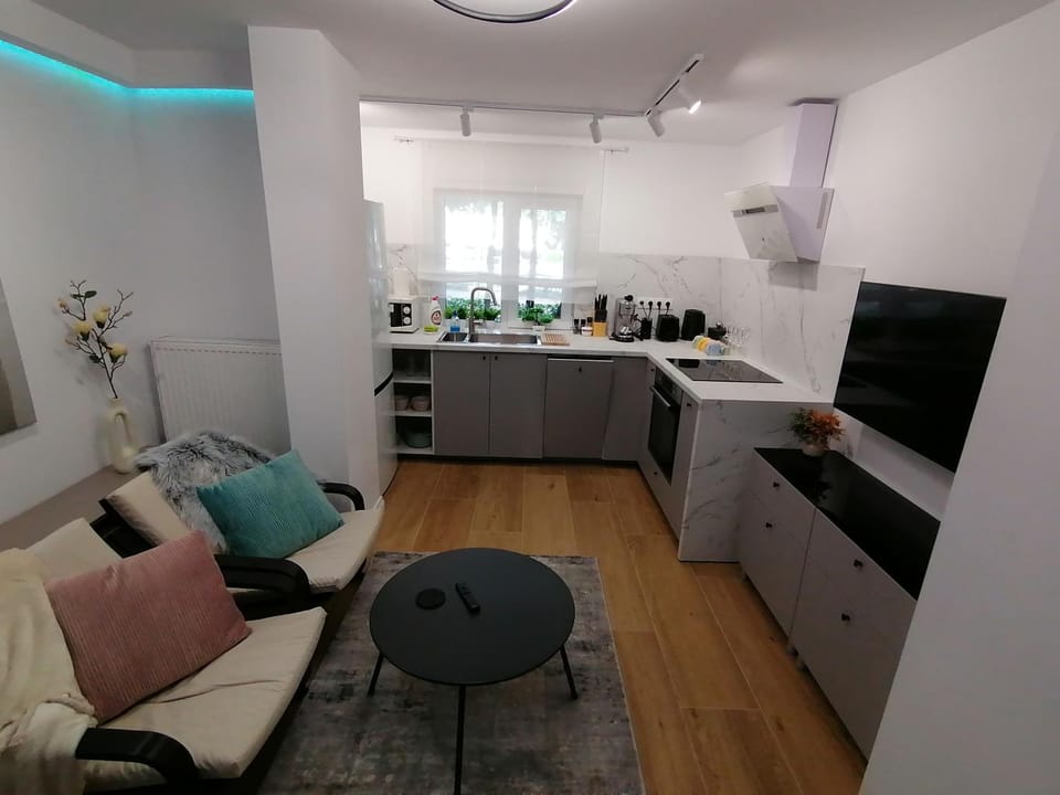 Living room, kitchen