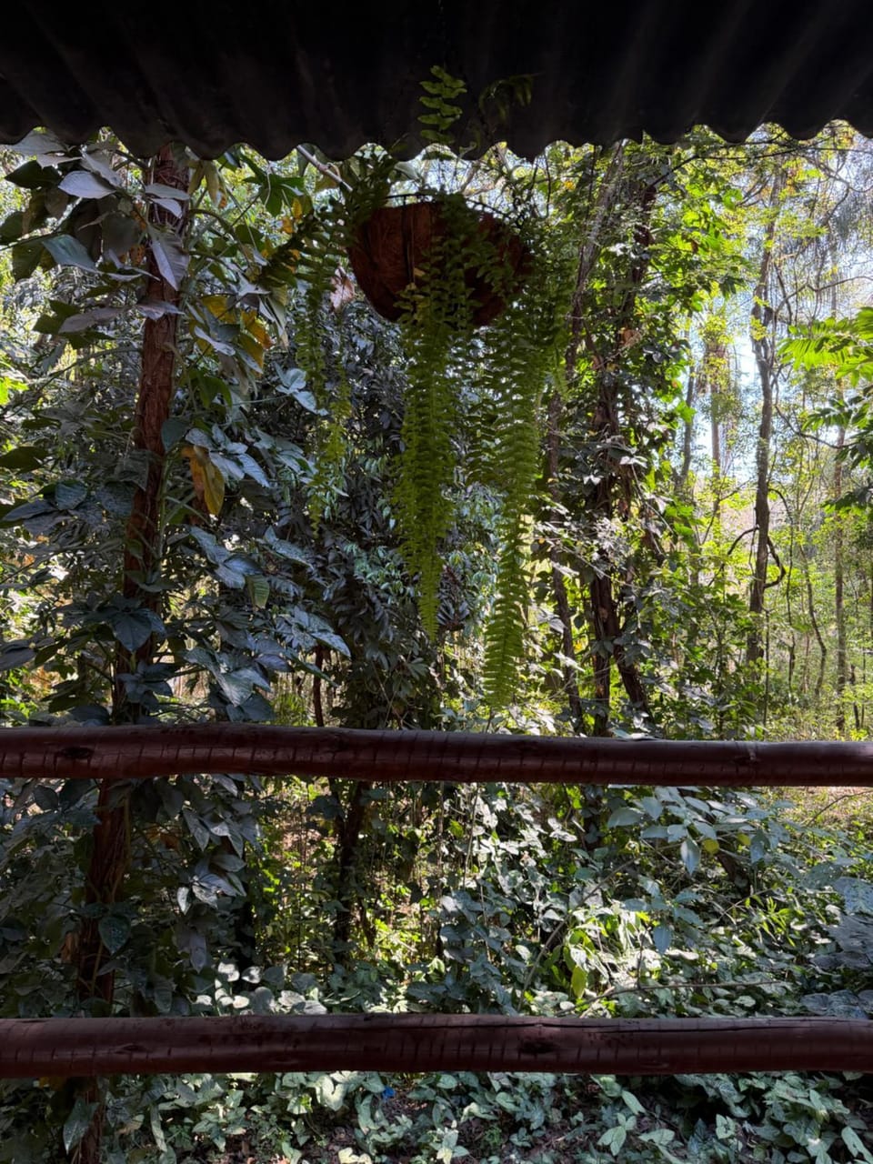 Hari Eco Pousada Inn in State of São Paulo