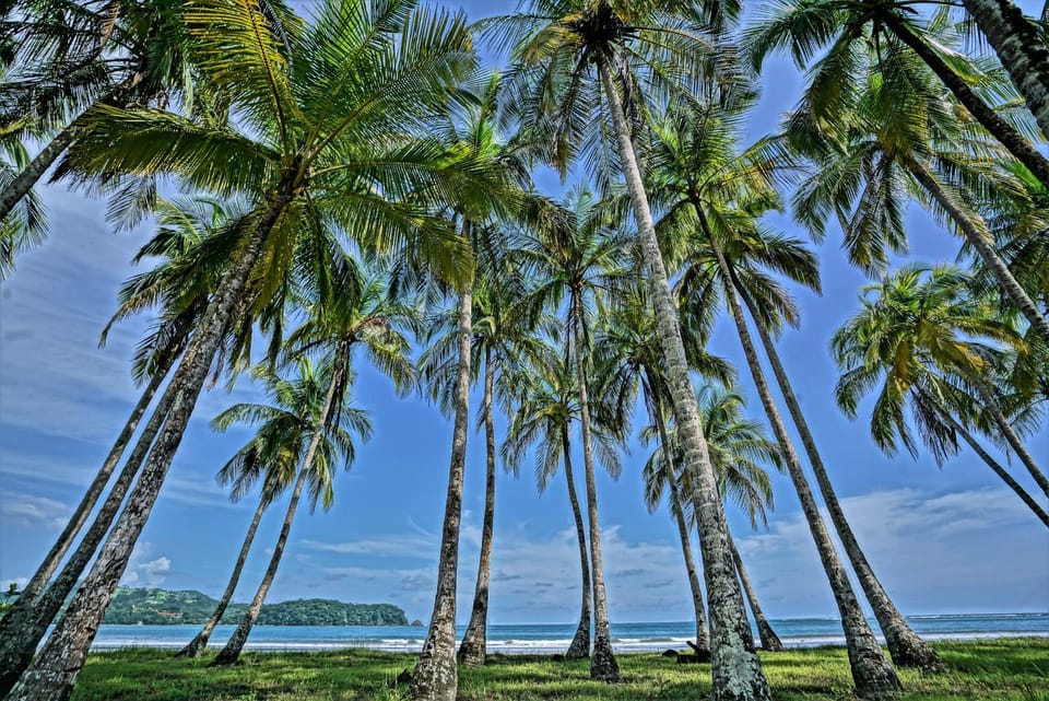 Natural landscape, Beach