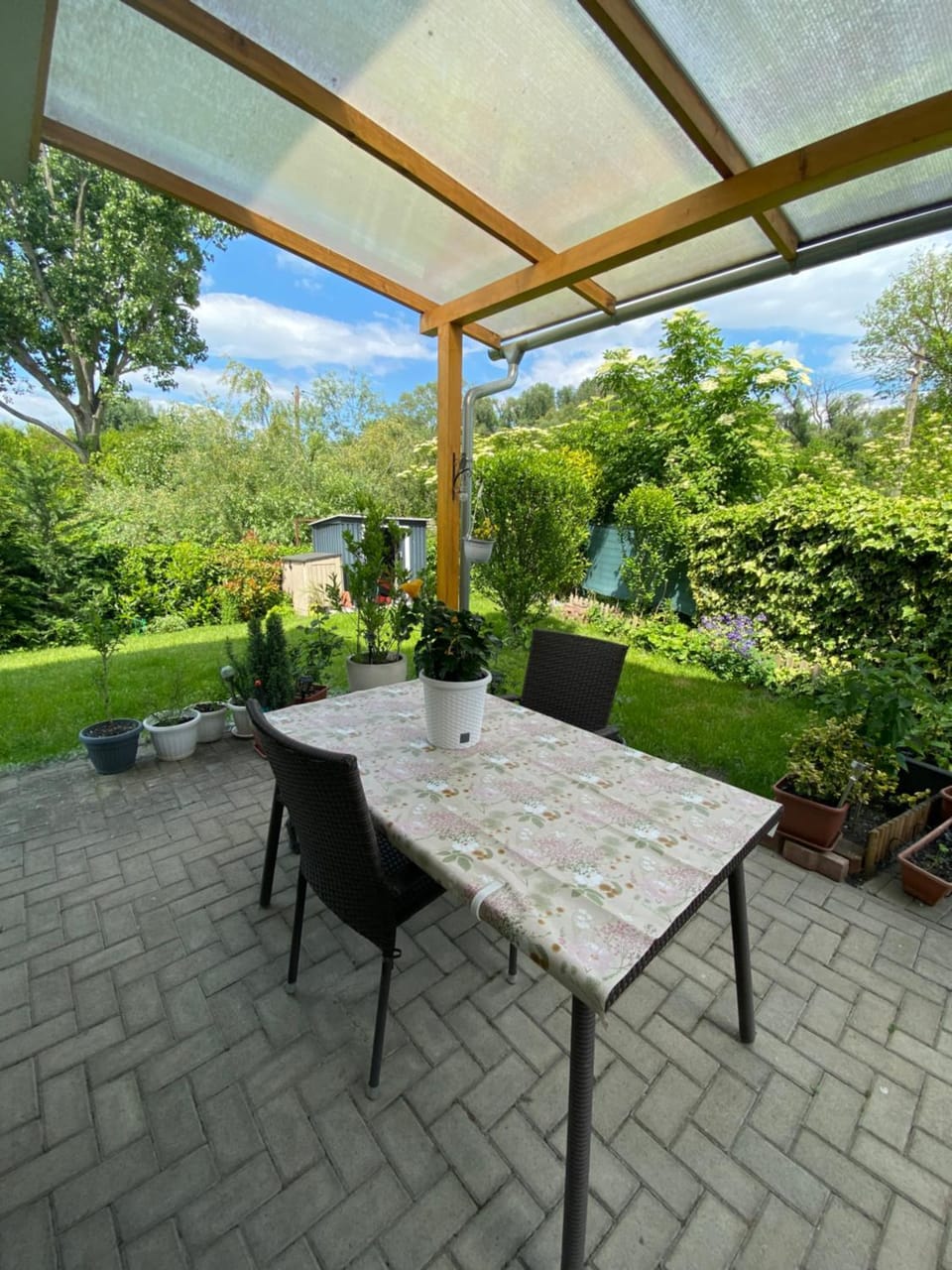 Patio, Garden