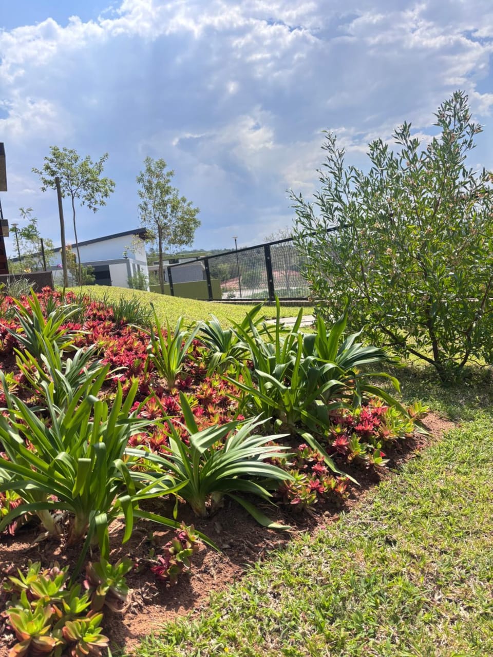 Garden view