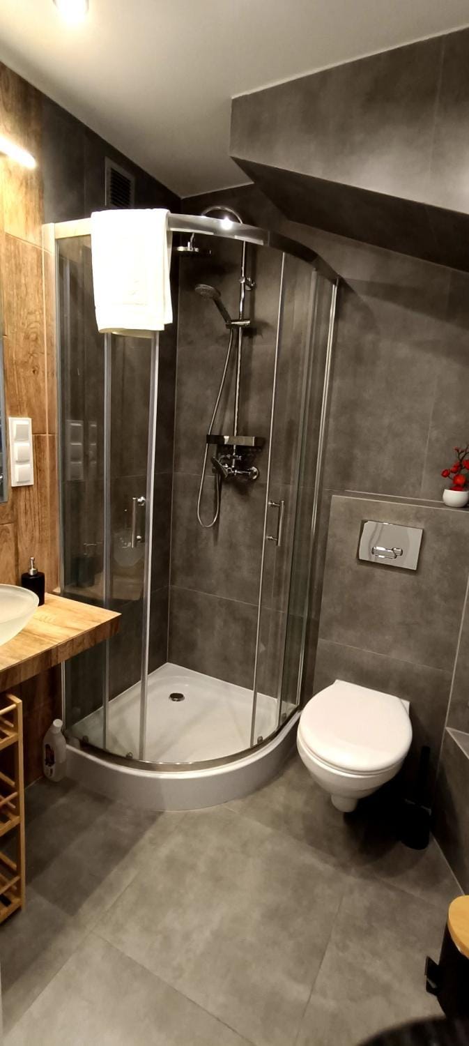 Shower, Toilet, Bathroom, towels
