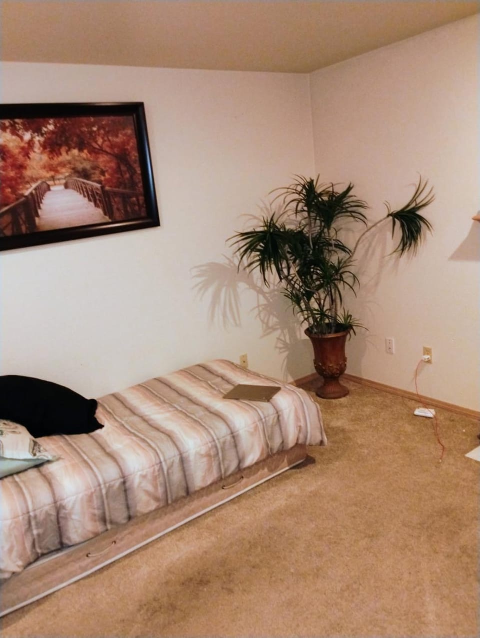 Cedar River Home Away From Home House in Cascade-Fairwood