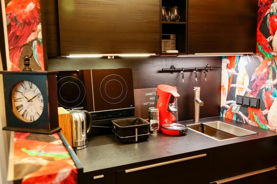 Coffee/tea facilities, Kitchen or kitchenette, stove