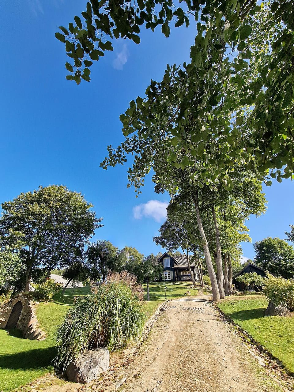 Spring, Day, Natural landscape, Garden, Garden view
