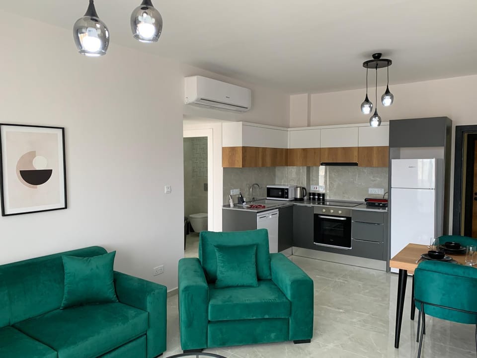 Kitchen or kitchenette, Living room, Seating area, Dining area, dishwasher, stove, air conditioner