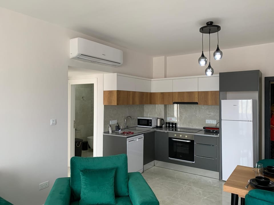 Kitchen or kitchenette, Dining area, dishwasher, oven, stove
