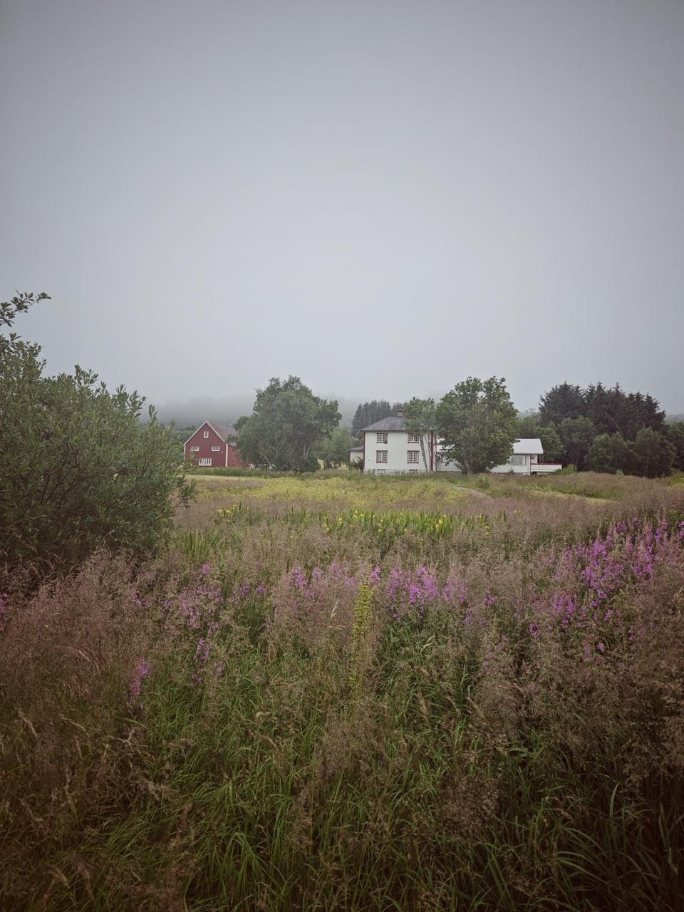 Property building, Natural landscape