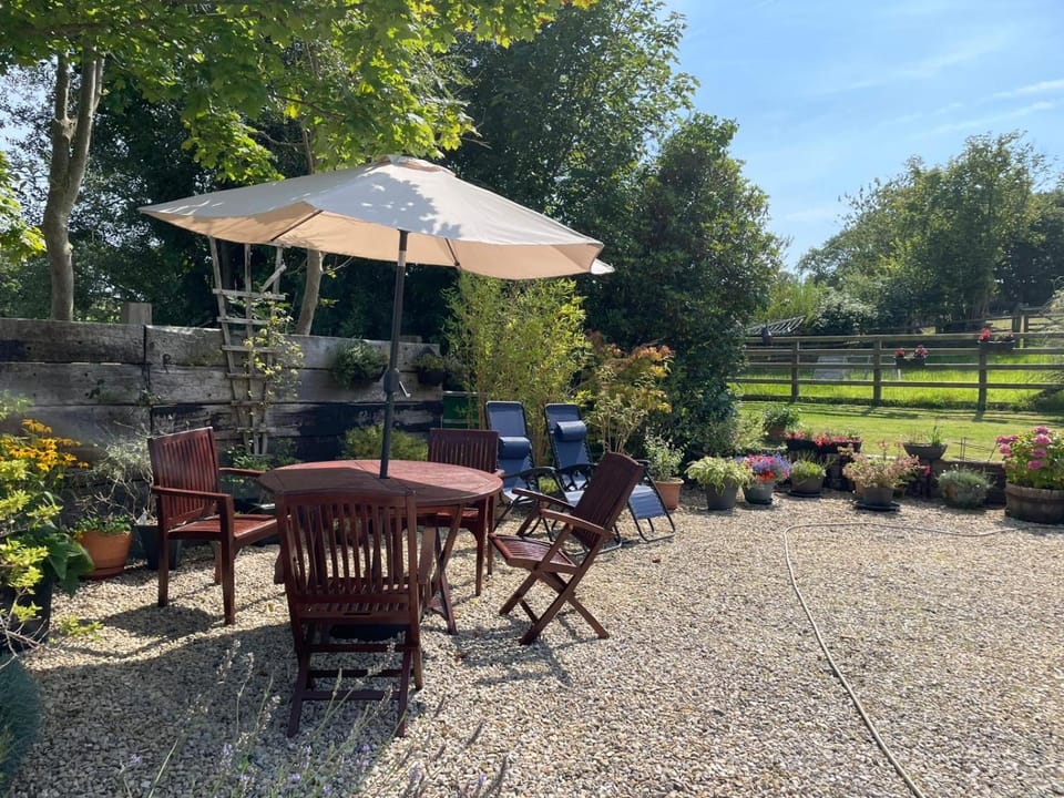 Garden view