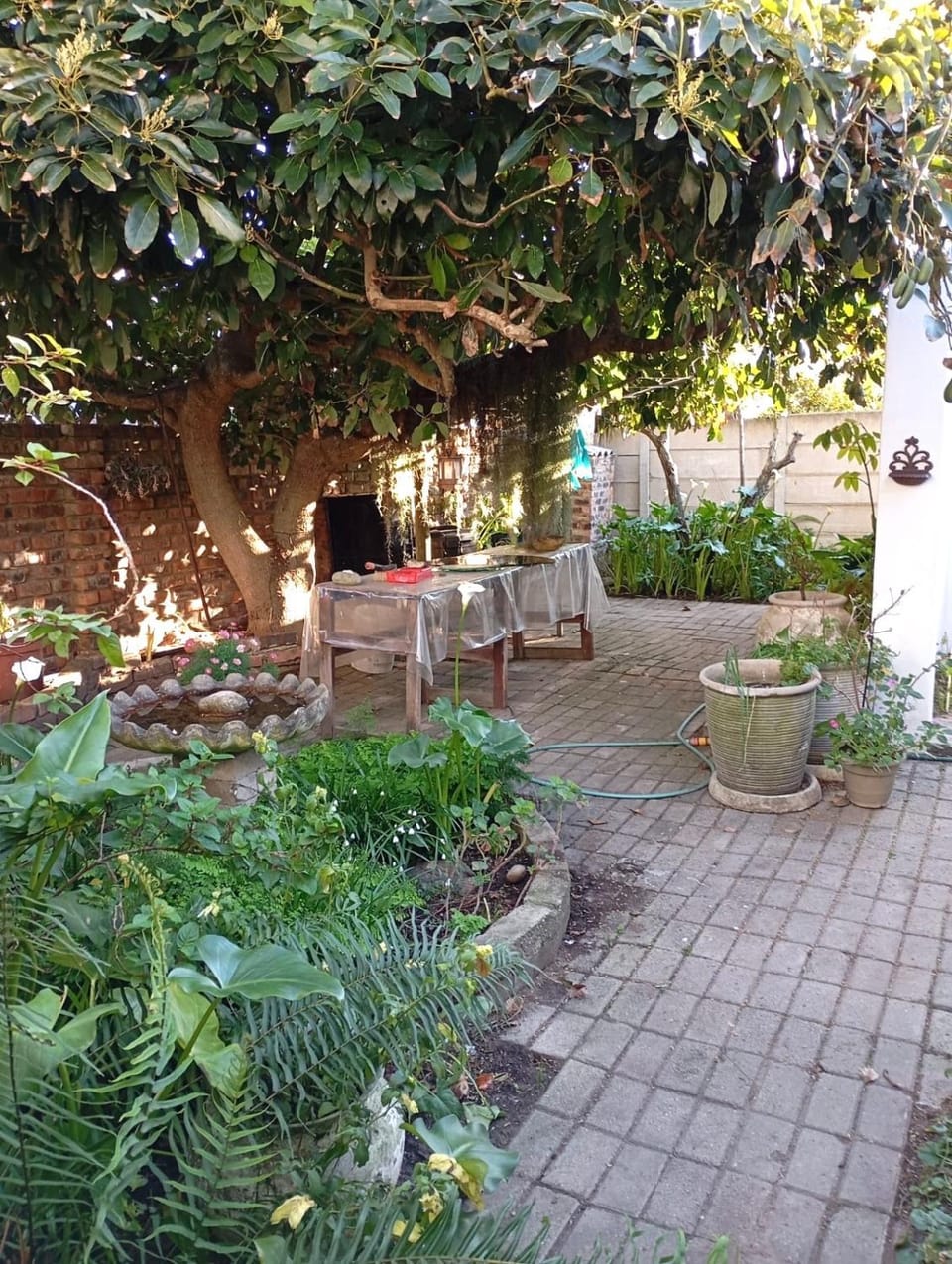 Garden, Garden view, Inner courtyard view