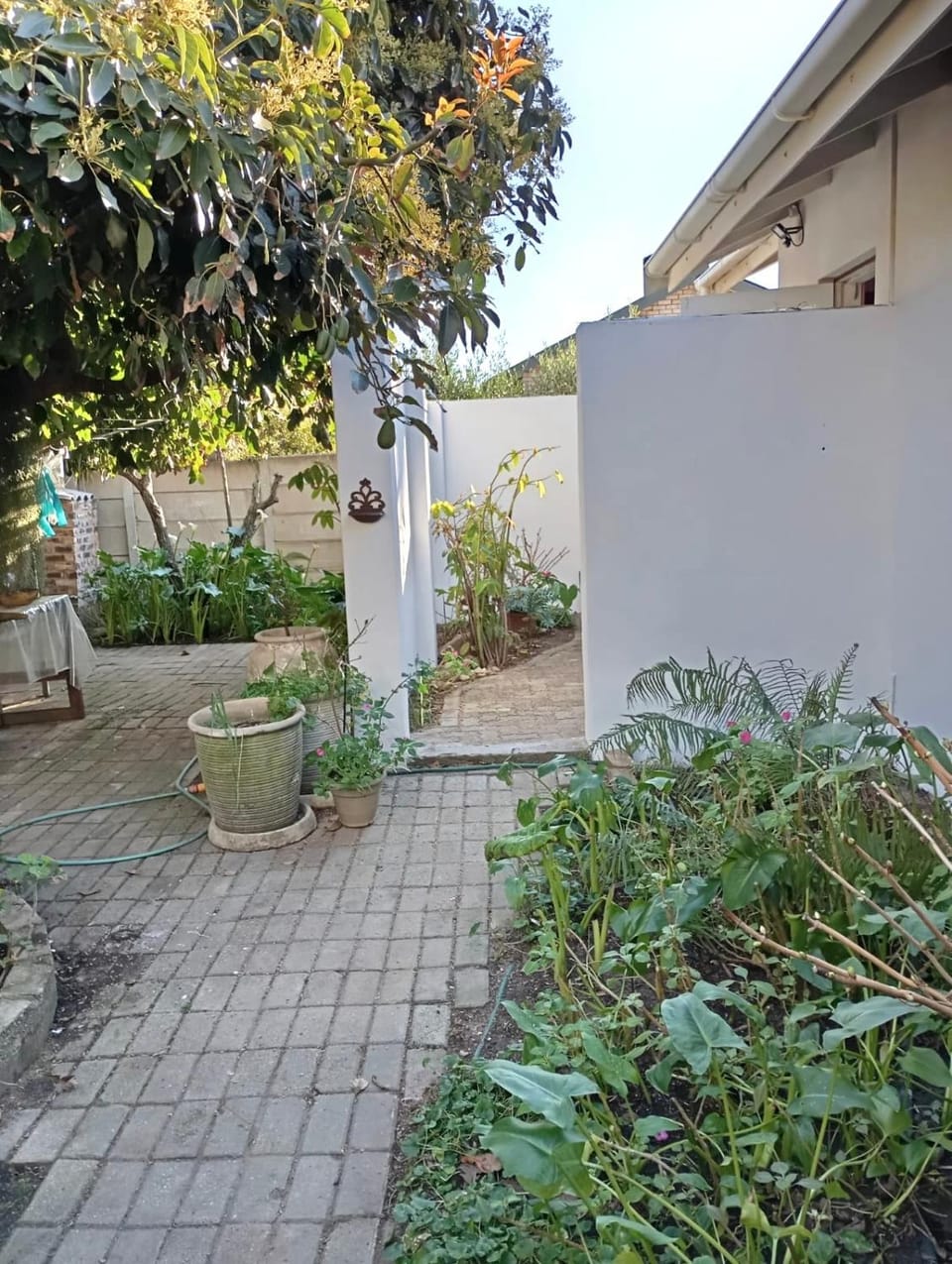 Garden, Garden view, Inner courtyard view