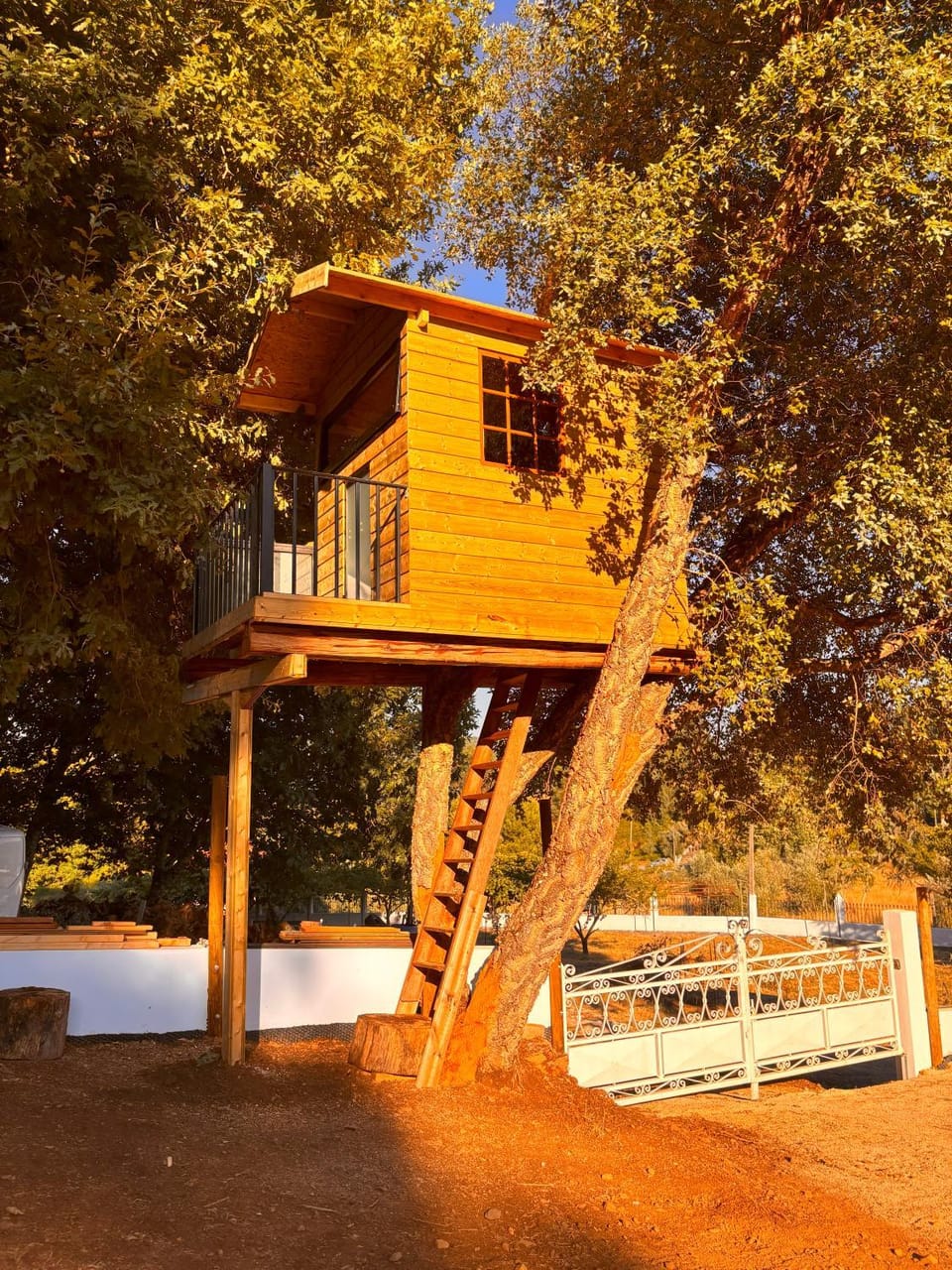 Nature Tourism Quinta Nova Villa in Coimbra District, Portugal