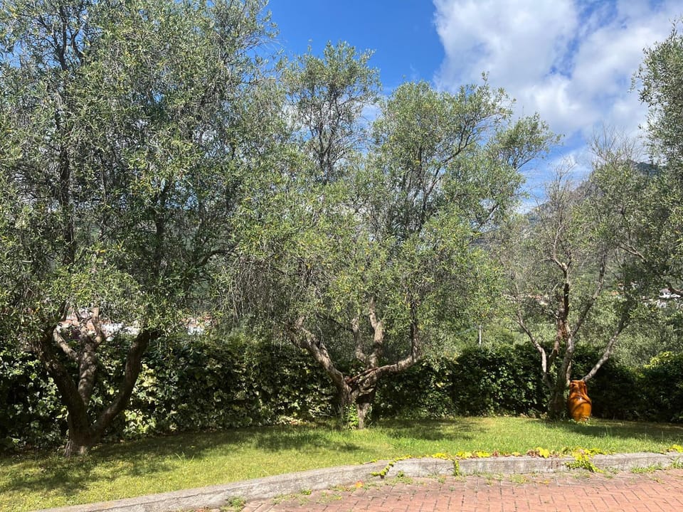 La terrazza Apartment in Liguria