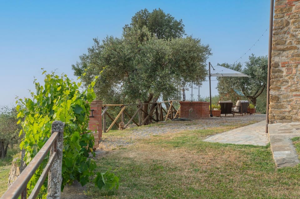 Garden, Garden view