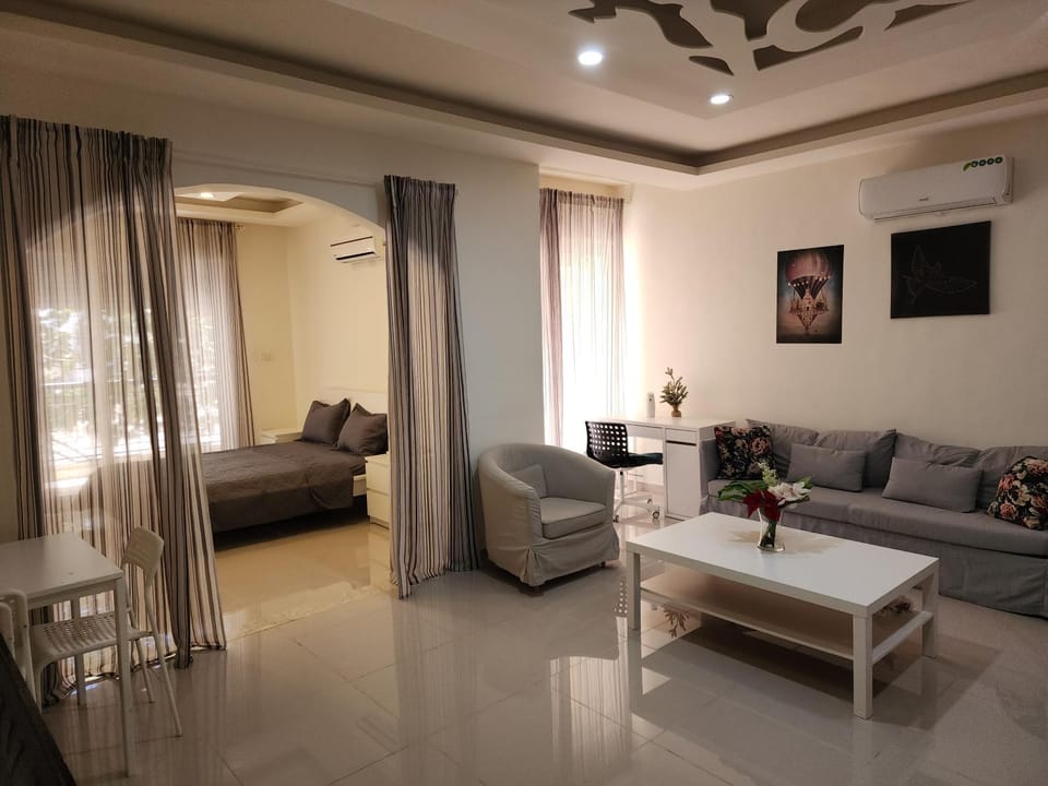 Living room, Photo of the whole room, Seating area, air conditioner