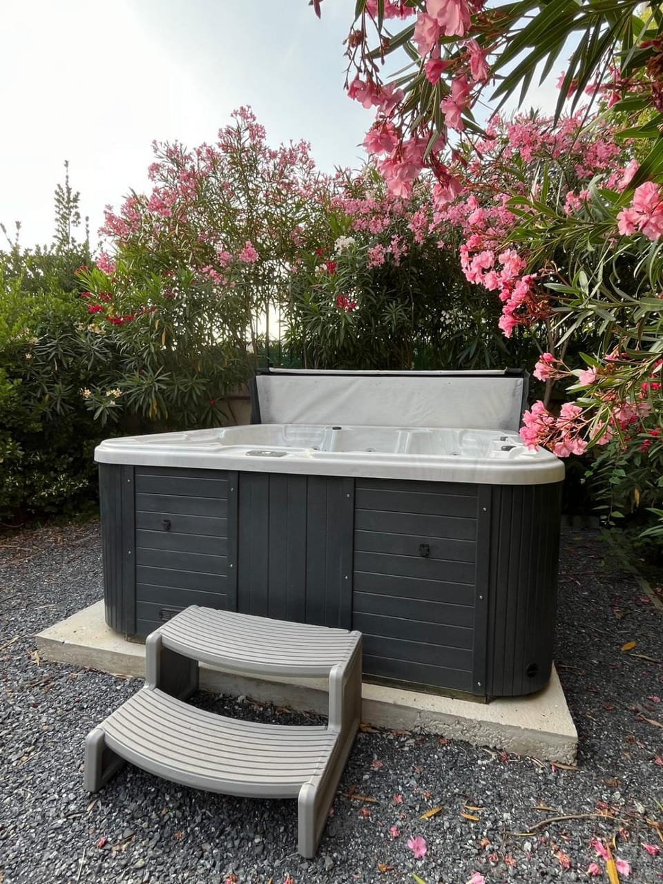 Garden, Hot Tub, Garden view