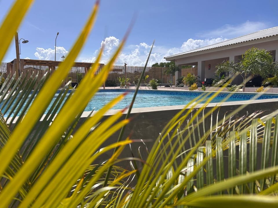 Day, Pool view, Swimming pool