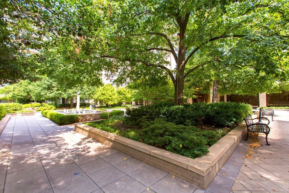 Property building, Garden, Seating area