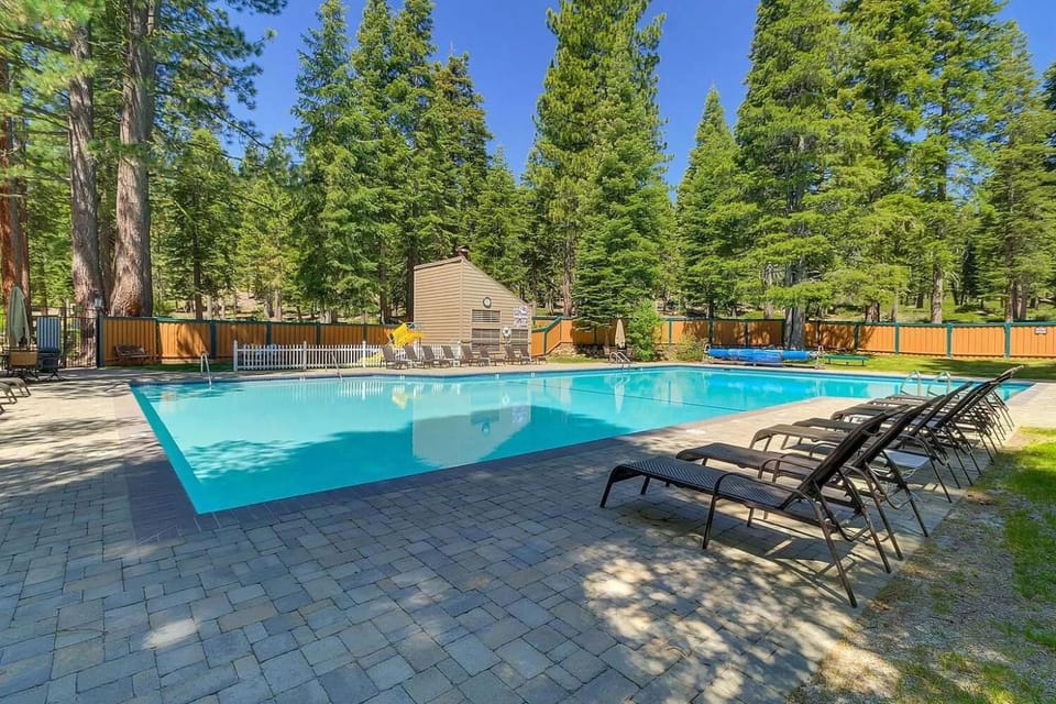 Natural landscape, Pool view, Swimming pool, sunbed