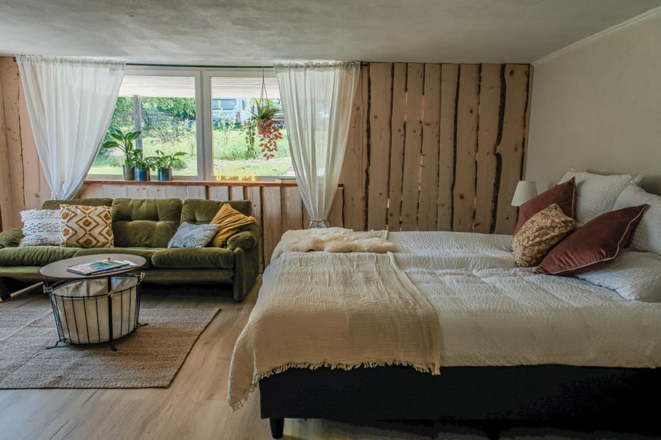 Bed, Living room, Photo of the whole room, Seating area, Bedroom