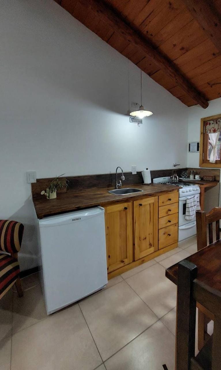 Kitchen or kitchenette, Dining area, dishwasher, minibar, oven, pet friendly, stove