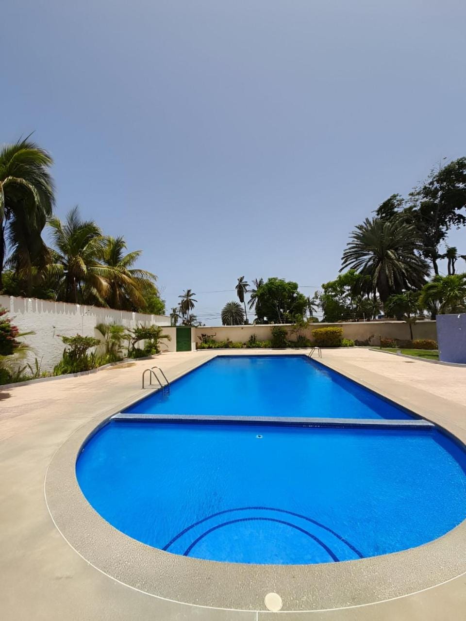 Summer, Pool view, Swimming pool
