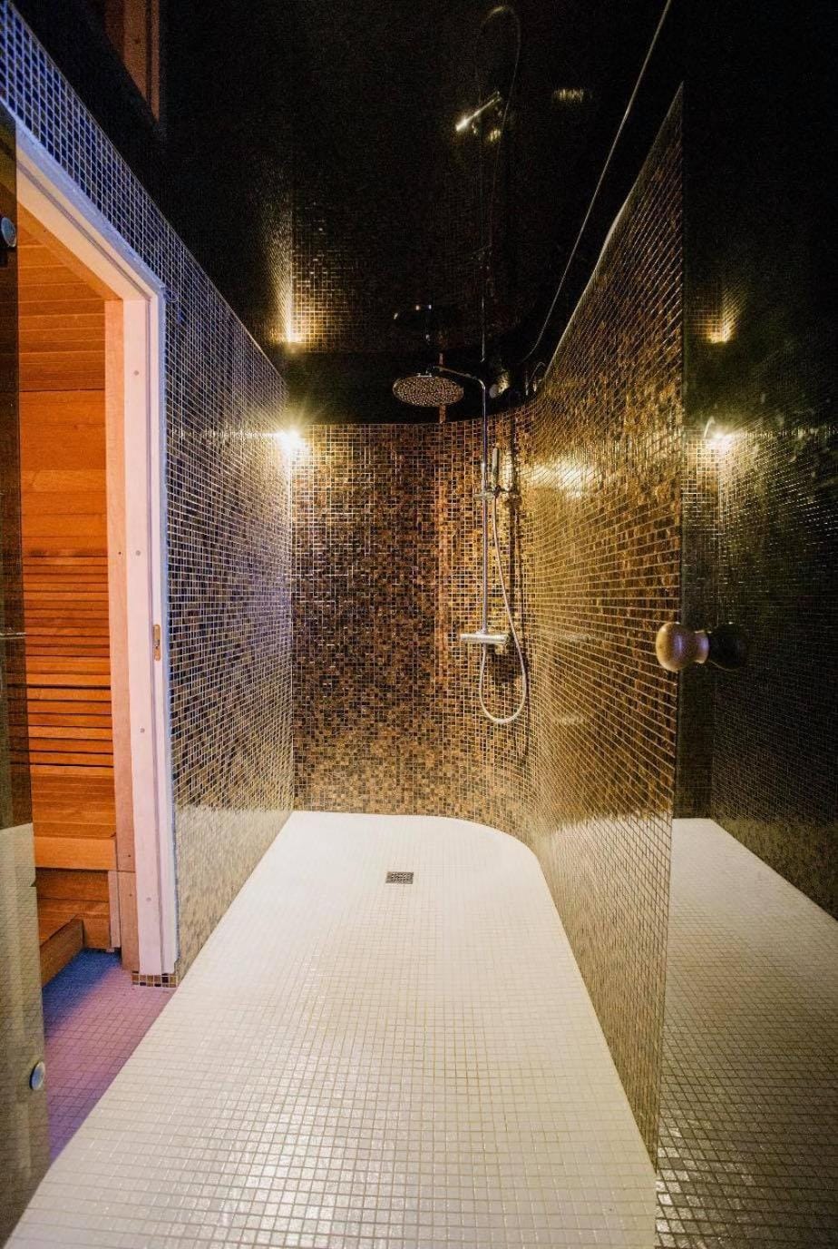 Sauna, Bathroom