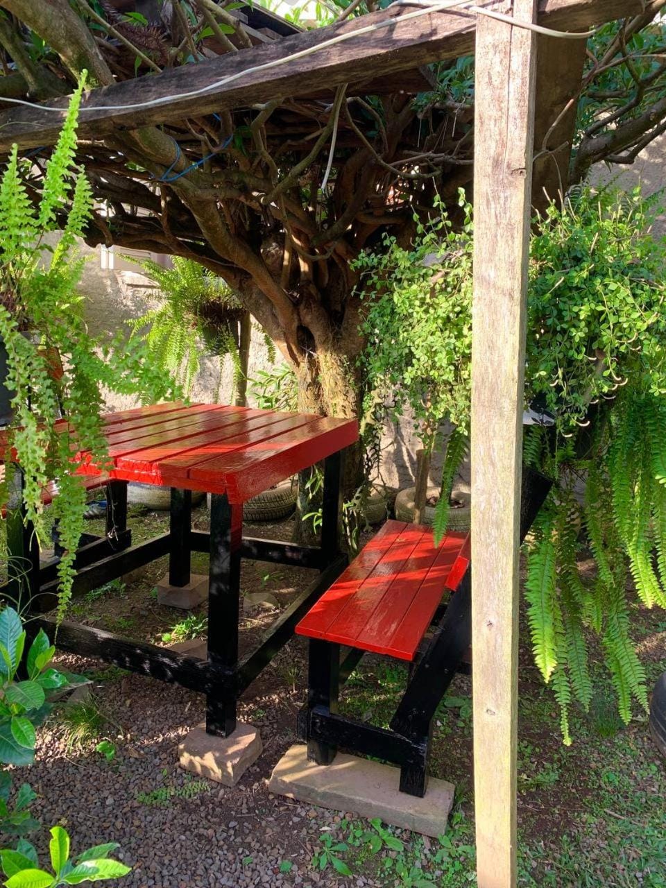 Garden view