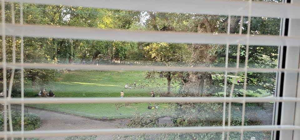 View (from property/room)