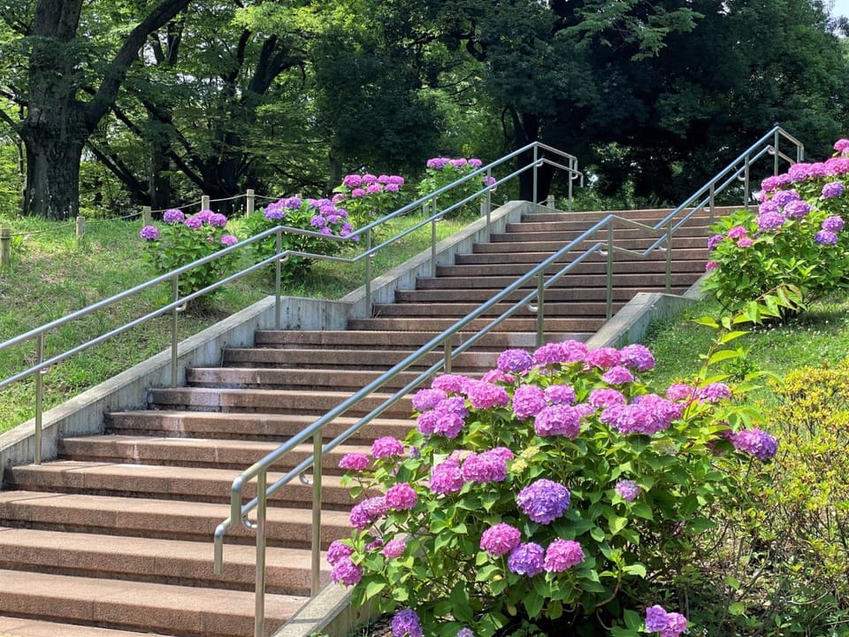 -Room MtFuji- Max 9 people 8 minutes to Shibuya 5 minutes to Shinjuku 1 minute to Harajuku 4 minutes walk from the station Apartment in Shibuya