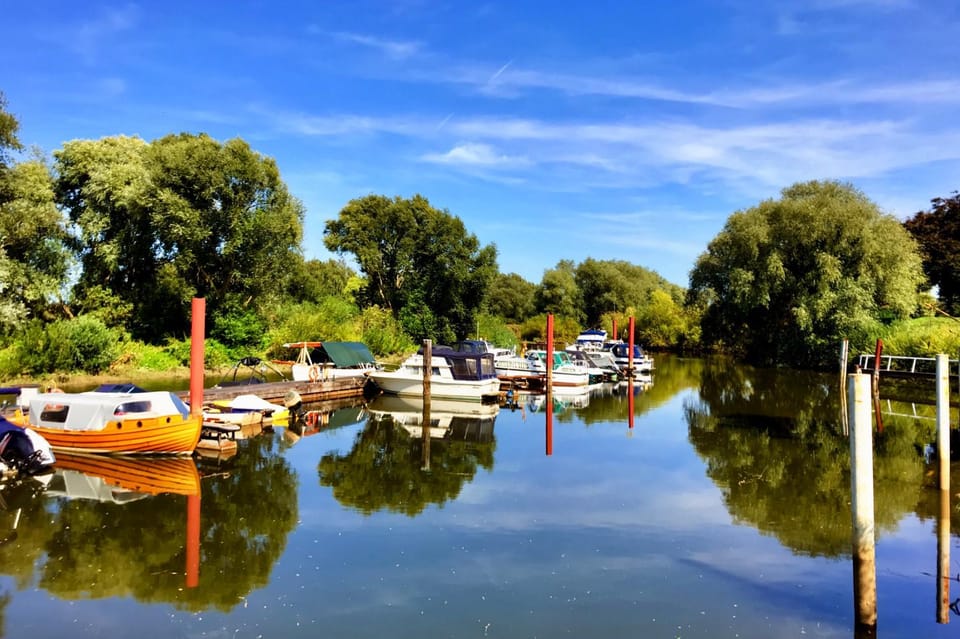 Natural landscape, River view