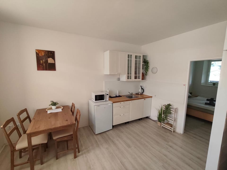 Za hrází Poděbrady Apartment in Czechia