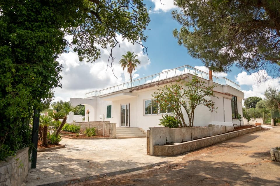 Property building, Garden, Garden view