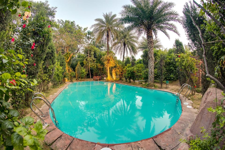 Swimming pool