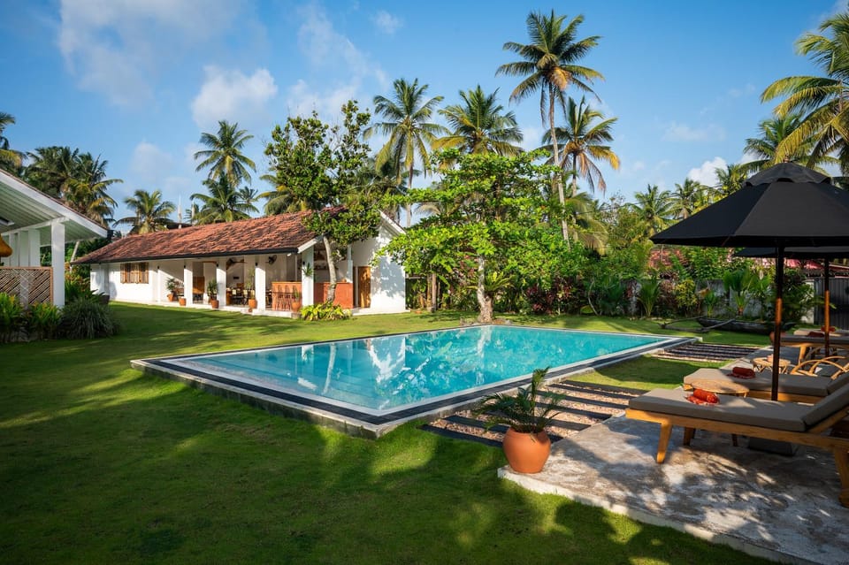 Natural landscape, Garden, Swimming pool