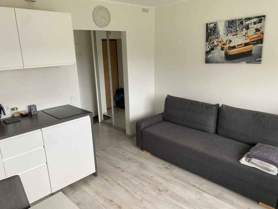 VILNIUS apartment with balcony Apartment in Vilnius