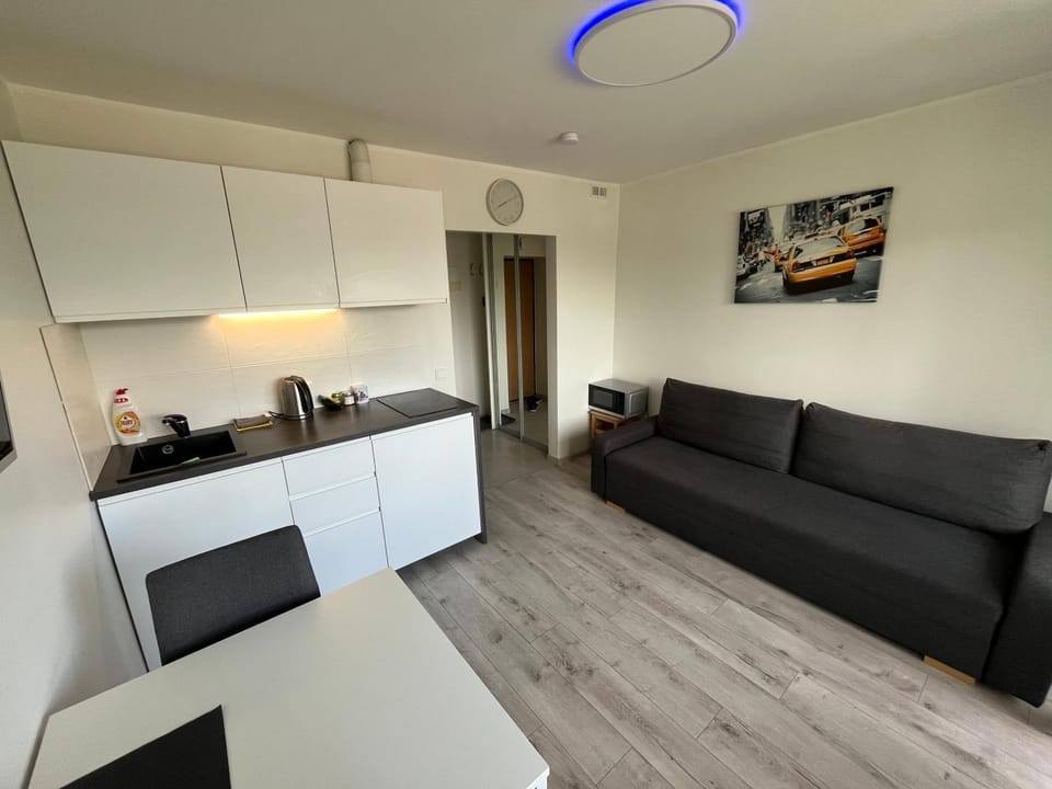 VILNIUS apartment with balcony Apartment in Vilnius