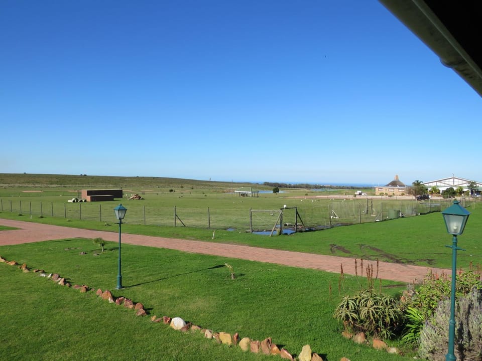 Animals, Garden view