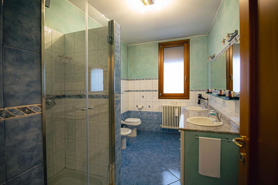 Shower, Toilet, bidet, towels
