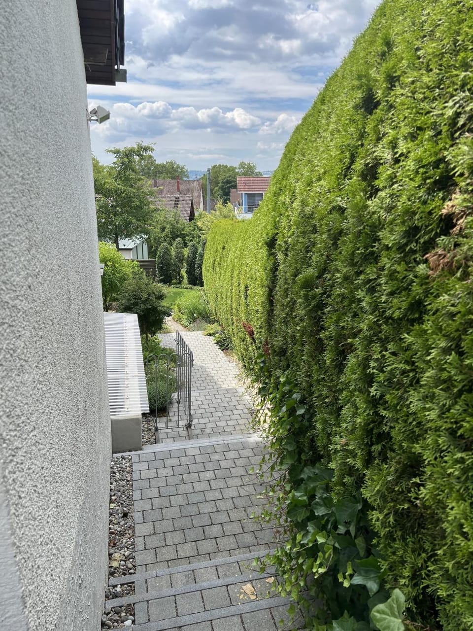 Garden view