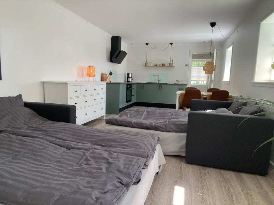 Kitchen or kitchenette, Living room, Seating area, Bedroom