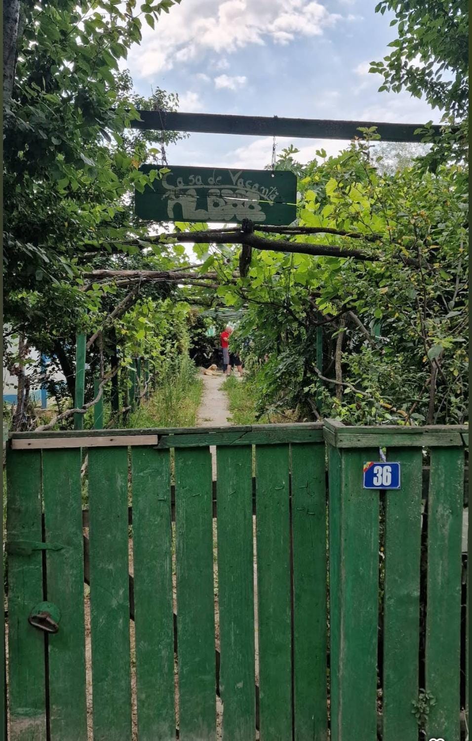 Casa Alexe Bed and Breakfast in Romania
