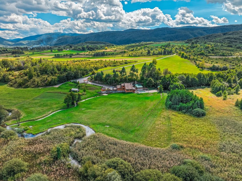 Natural landscape, View (from property/room), Garden view